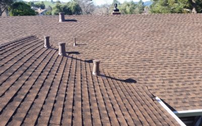 Roof Repair: The Complete Safety Guide