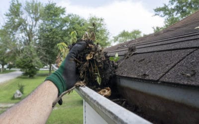 Why Annual Roof Maintenance Is So Important
