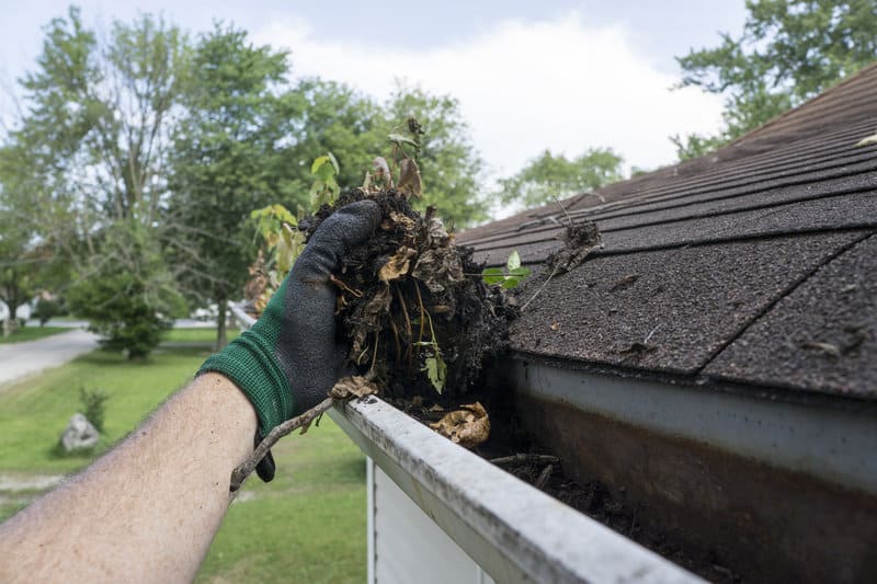 Why Annual Roof Maintenance Is So Important