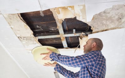 Why Is My Tile Roof Leaking? (And What to Do About It)