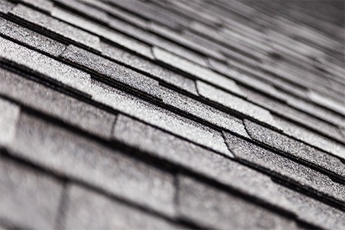 shingle roof