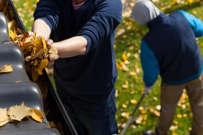 spring cleaning for your roof