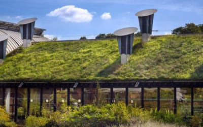 Debunking 6 Myths About Green Roofs People Still Believe