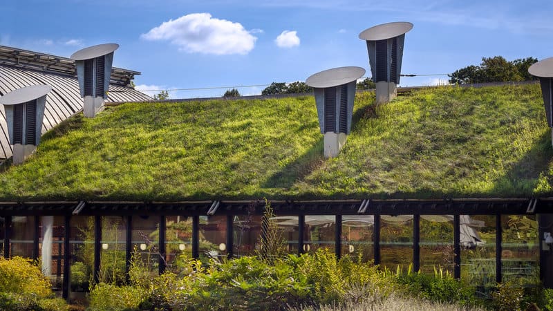 Debunking 6 Myths About Green Roofs People Still Believe