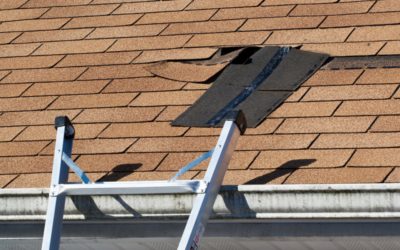 Preserve Your Roof: The Ultimate Guide To Annual Roof Maintenance