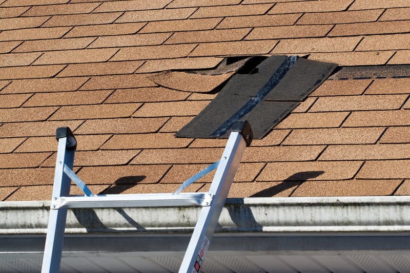 preserve your roof the ultimate guide to annual roof maintenance