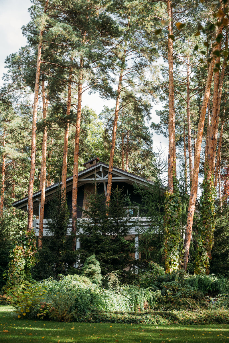 maintain your trees to protect your roof