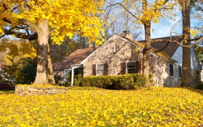 Fall Roof Maintenance: 5 Things You Should Do Right Now