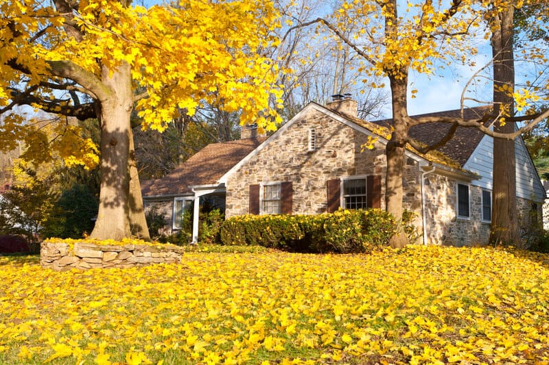 Fall Roof Maintenance: 5 Things You Should Do Right Now
