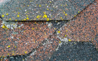 6 Common Causes Of Discolored Roof Shingles