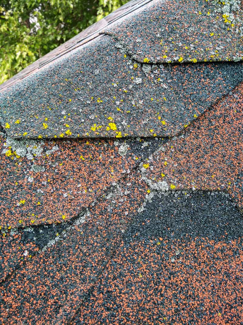 6 common causes of discolored roof shingles