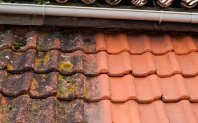Benefits Of Regular Roof Cleaning